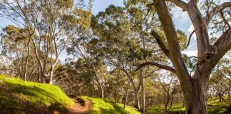 Shepherds Hill Recreation Park