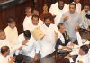 Punches thrown in Sri Lanka’s parliament as political crisis drags on